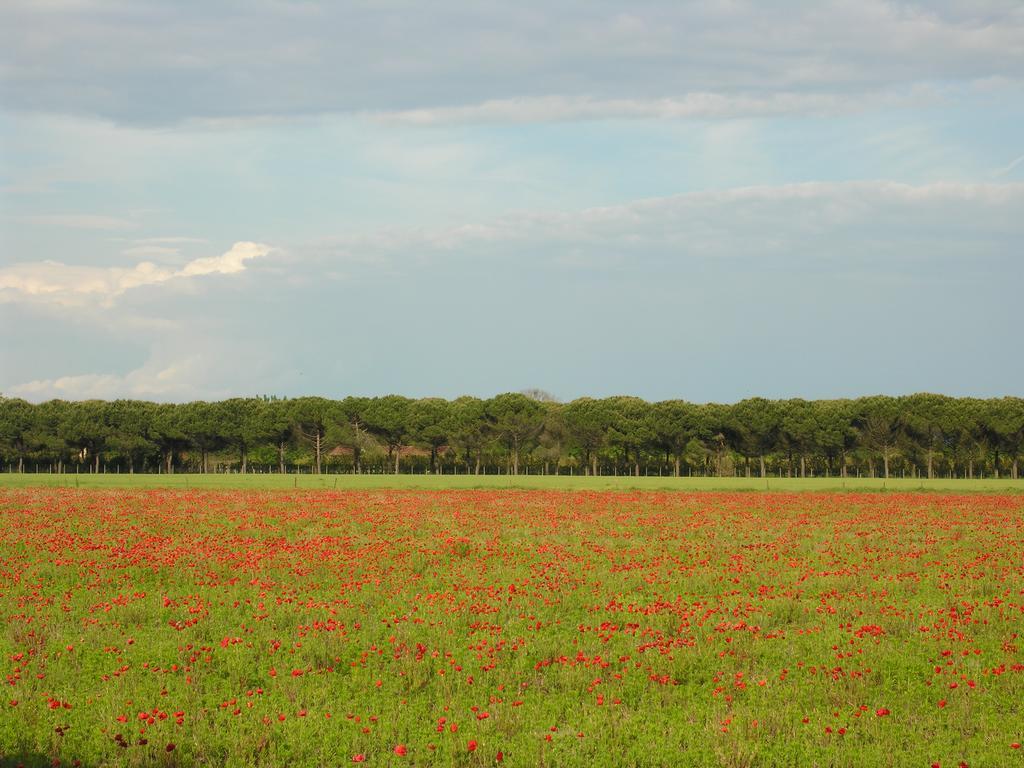 Appartamento Riviera Bibione Exteriér fotografie